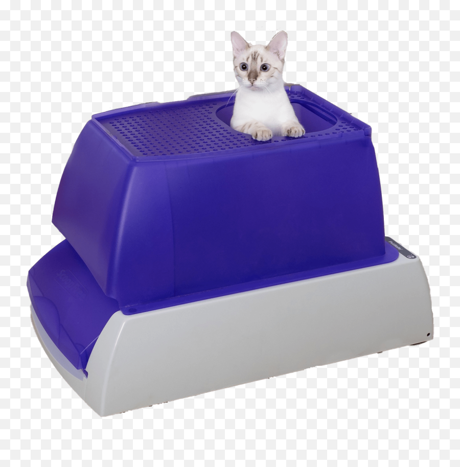 The Best Self - Cleaning Litter Boxes From Our Leading Brands Emoji,Cats Are The Best Line Emoji