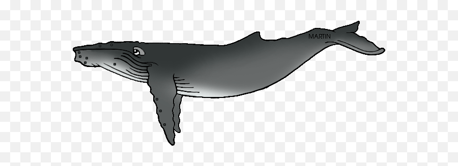 Free Gray Whale Cliparts Download Free Gray Whale Cliparts Emoji,Humpback Whale Emoticon
