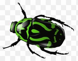 Free Beatles Cliparts Download Free Beatles Cliparts Png Emoji,Beatle Emojis