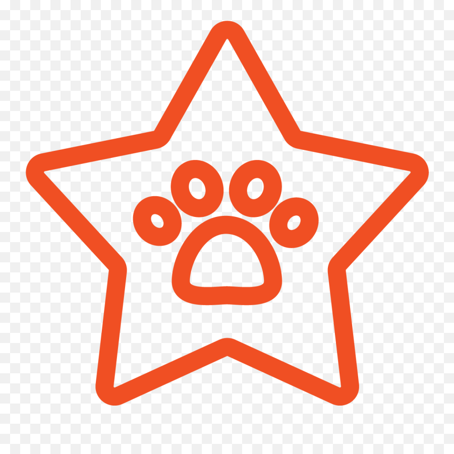 Blog Canine Healing - Svg Png Star Icon Emoji,Energy Emotions Paw Paw