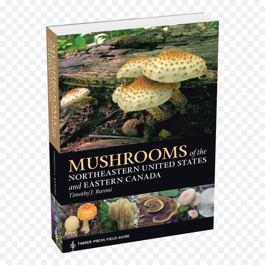 Mushrooms Of The Northeastern United - Mushrooms Of The Northeastern United States Emoji,Do It Yourself Emoji Photo Booh
