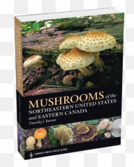 Mushrooms Of The Northeastern United - Mushrooms Of The Northeastern United States Emoji,Do It Yourself Emoji Photo Booh
