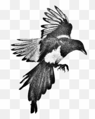 Personality Traits - American Crow Emoji,Aries Emotions
