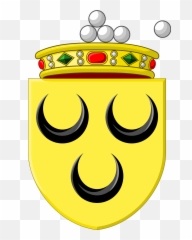 Wapen Voorschoten - Voorschoten Emoji,How To Get The :geel: Emoticon
