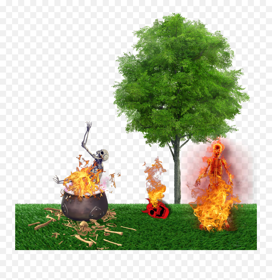 Largest Collection Of Free - Toedit Stickers Emoji,Tree Fire Emoji
