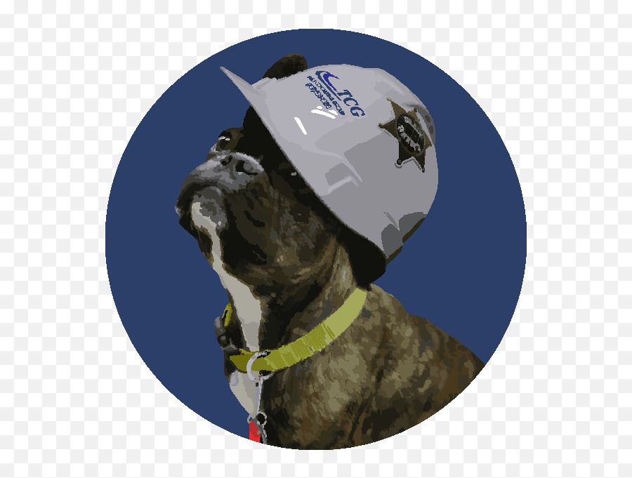 Meet Our Office Dogs U2014 Emoji,Emotion Pets Toys R Us