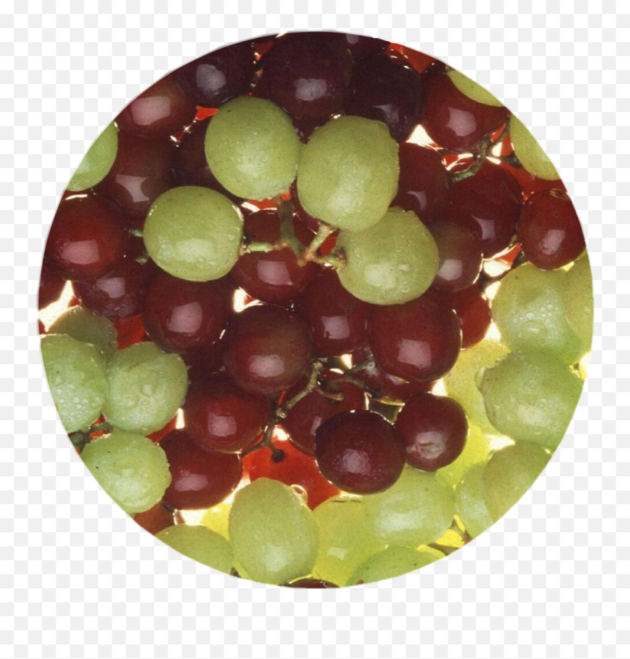 Zedge Grapes Wine Red Sticker - Diamond Emoji,Green Grape Emoji