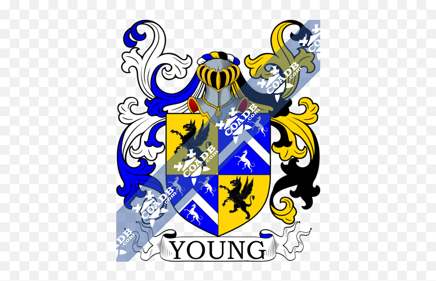 York Family Crest Coat Of Arms And Name History - Smith Coat Of Arms Emoji,Piques + Jerry Purpdrank Like Emoticon