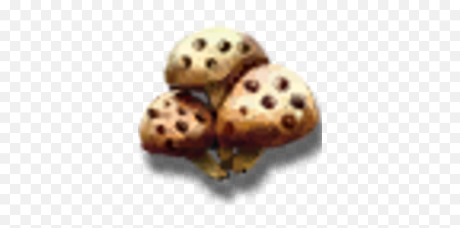 Burned Lady - Official Pillars Of Eternity Wiki Soft Emoji,Iphone Mushrooms Emoji