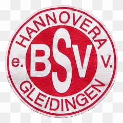 Bsv - Gleidingen Ii Herren Bsv Gleidingen Emoji,How To Insert Emoticons In Embird