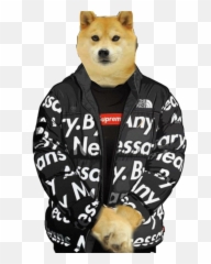 Drip Doge - Ku Rdogelore Ironic Doge Memes Know Your Meme Emoji,Emoticon Ary