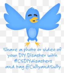Cully And Sully Diy Disasters Cully U0026 Sully - Happy Emoji,Diy Emoji Decorations