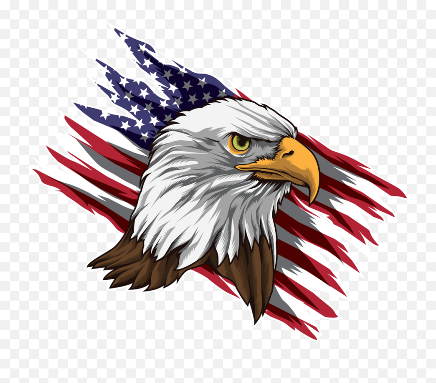 Patriotic Bald Eagle Head - Patriotic Eagle Drawing Emoji,Bandeira.americana Emotion