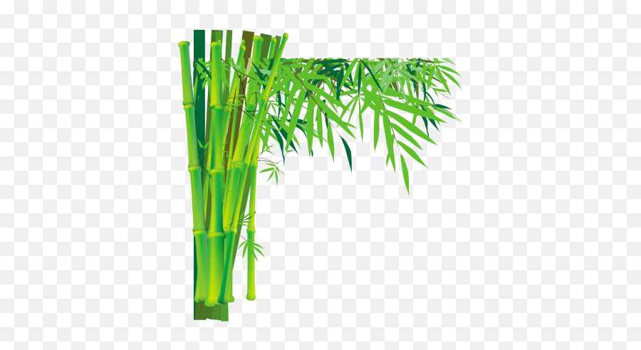 Transparent Thin Leaved Bamboo Painting Hd Durable Bamboo - Cartoon Bamboo Tree Background Emoji,Bamboo Emoji