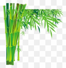 Transparent Thin Leaved Bamboo Painting Hd Durable Bamboo - Cartoon Bamboo Tree Background Emoji,Bamboo Emoji