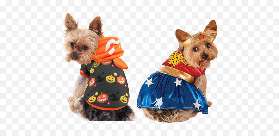 Dog Costumes For Yorkies - Yorkie Halloween Costumes Emoji,Yorkie Emoji