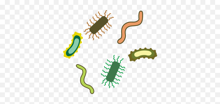 How And Why Should You Clean Your Washing Machine - Parasitism Emoji,Emojis Feelings For Streaks
