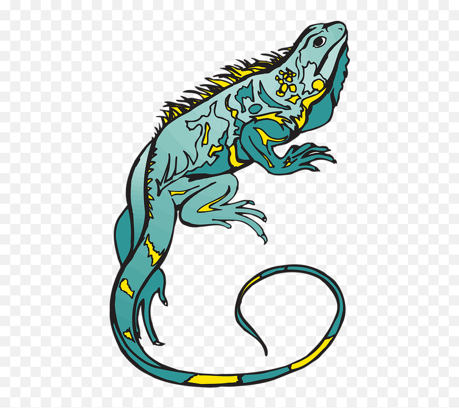 Free Photo Yellow Curled Reptile Blue - Bunglon Vector Png Emoji,Chameleons Color Emotions