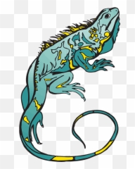 Free Photo Yellow Curled Reptile Blue - Bunglon Vector Png Emoji,Chameleons Color Emotions