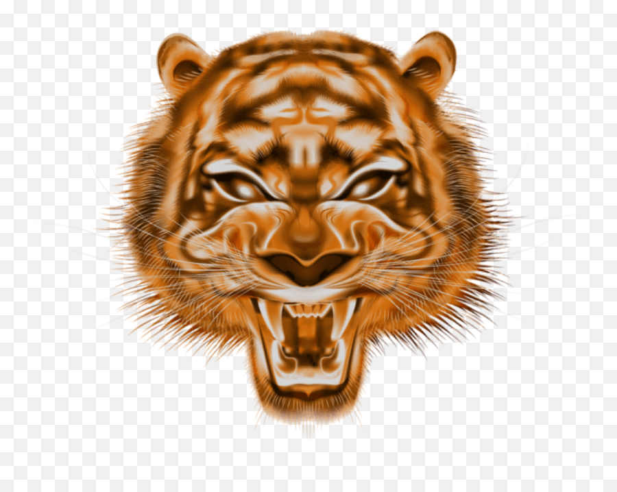 Free Png Download Decorative Tiger Head Png Images - Tiger Head Png Emoji,Facebook Emojis Leopard