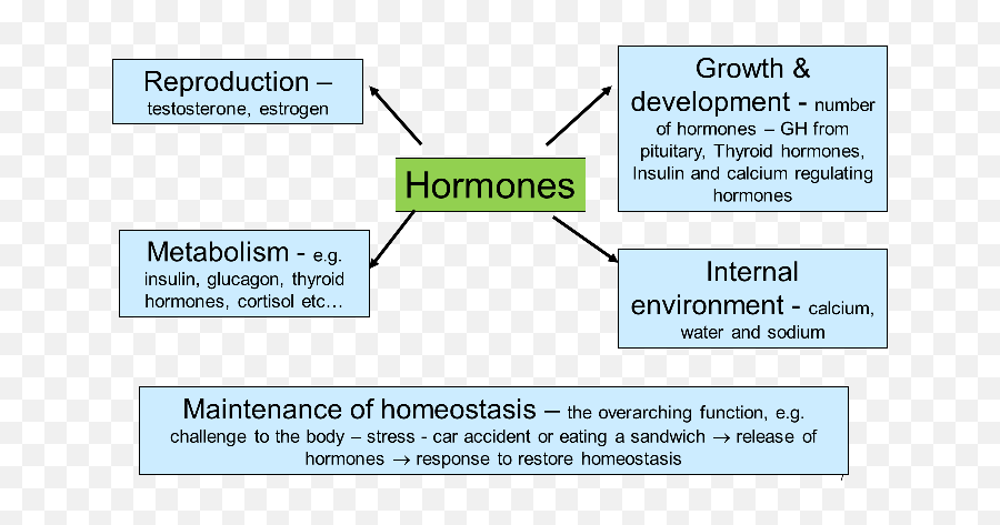 Topic 5c Module 4 Endocrinology I - Language Emoji,