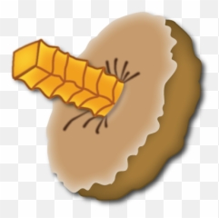 Devo - Food Emoji,Zakk Wylde Emoji
