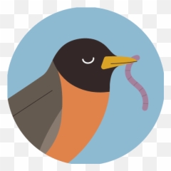 Audubon For Kids Nature Activities Diy Lessons For Home Emoji,Colors And Emotions They Represent For Kids In Art