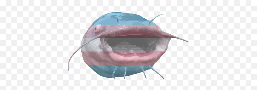 Pog - Transcatfish Hexbear Emoji,Pog Face Emoji