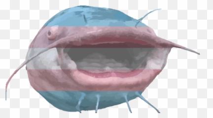 Pog - Transcatfish Hexbear Emoji,Pog Face Emoji