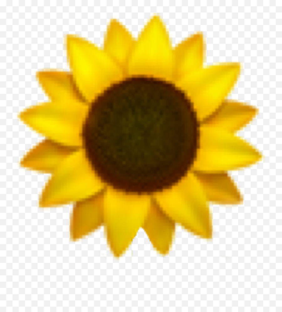 Sunflower Emoji Sticker By Dex - Sunflower Emoji Png,Plants Emoji