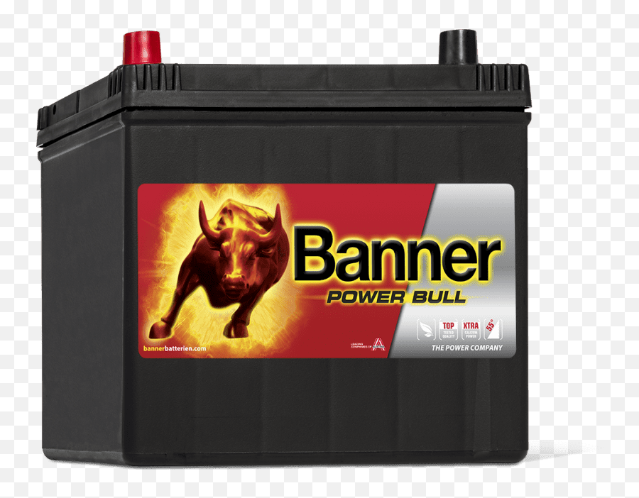 Banner P6069 Power Bull Car Battery 12v 60ah 510a 005r 014 Buy Online From The Battery Shop - Batterie Banner 80ah Emoji,Car Power Battery Emoji