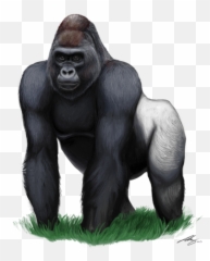 Gorilla Sticker Gorilla Emoji - Gorilla Png Clipart,Gorilla Emoji