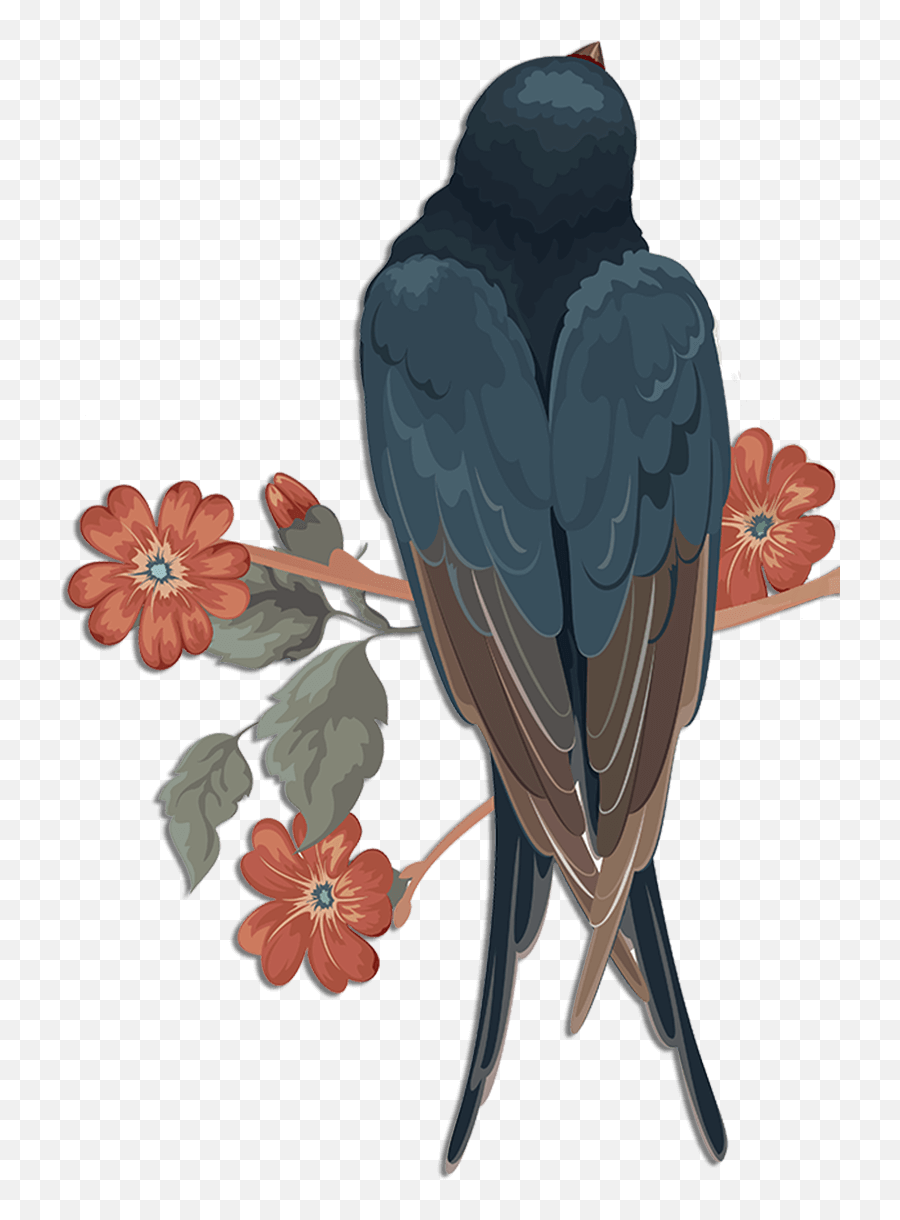 Swallow Png Download Png Image With Transparent Background - Swallow Art Background Png Transparent Emoji,Swallow Emoji