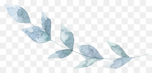Soul Camp 3 Day Retreat - Twig Emoji,You Have A Right To Your Emotions