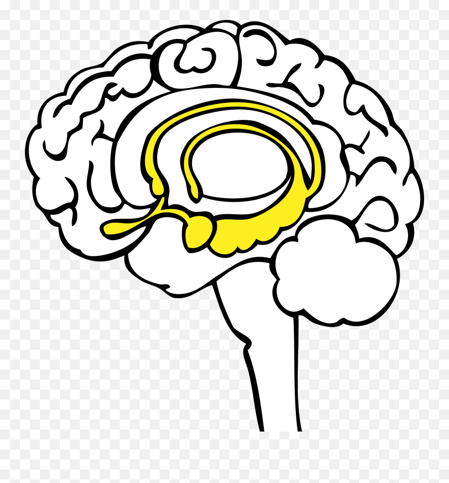 The Stoplight Approach Emoji,Brain Emotion Map