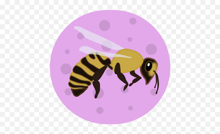 Scimos Science For Everyone - Parasitism Emoji,Emoji 2 Level 484