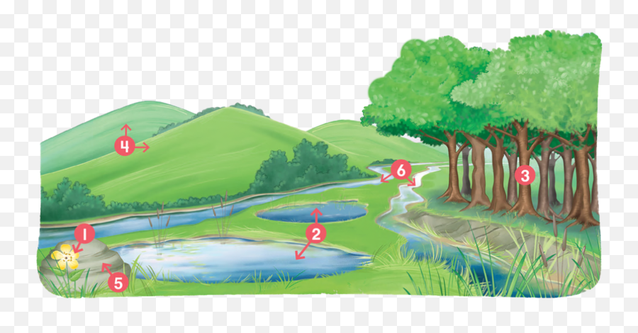 Everybody Up 1 Unit 5 The Park Baamboozle - Natural Landscape Emoji,Emojis That Are Similar To Mountains And Basins