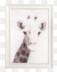 French Village Life In Dordogne - Lifejourney4two Emoji,Giraffe Get In Quicksand With Emotions