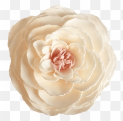 Butterfly Kisses Soap Flower Emoji,Flower Girl Emoticon