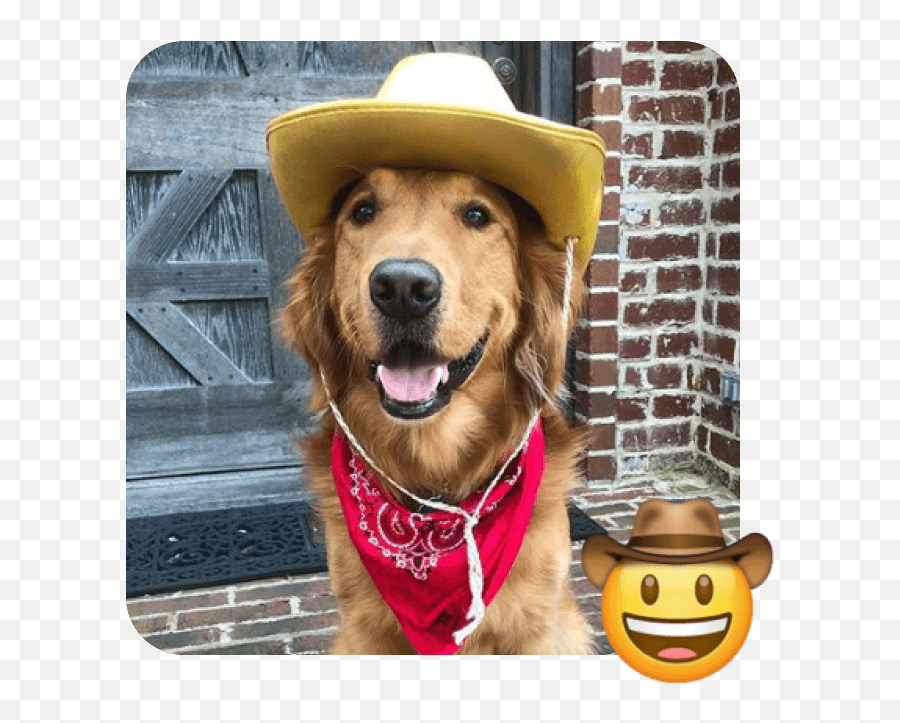 These 20 Doggies Are Totally Ready For World Emoji Day - Dog Clothes,Cowboy Emoji