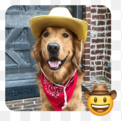 These 20 Doggies Are Totally Ready For World Emoji Day - Dog Clothes,Cowboy Emoji