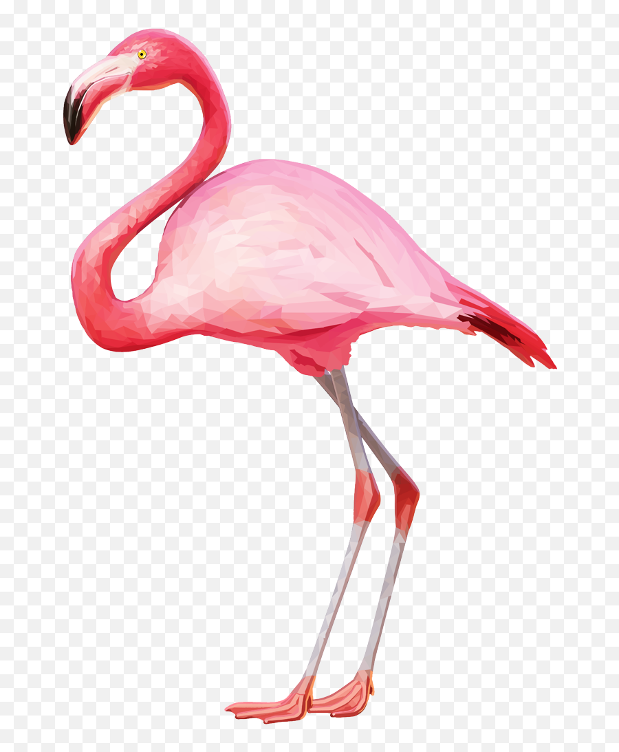 Flamingo Png Image Emoji,Flamongo Emoji