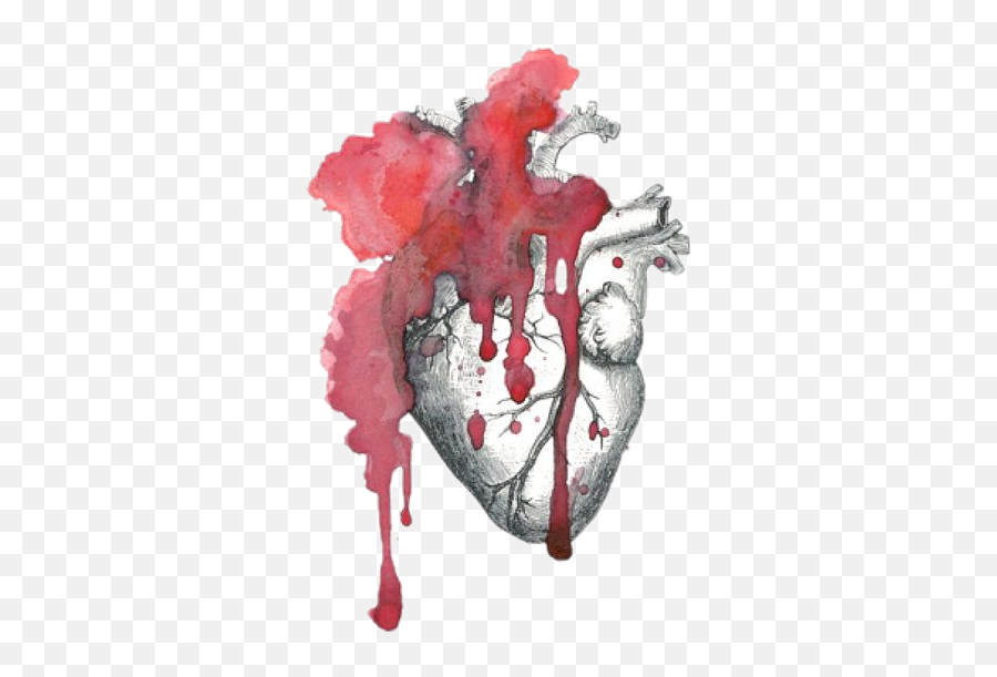 Bleeding Heart Sticker - Anatomisches Herz Aquarell Emoji,Bleeding Heart Emoji
