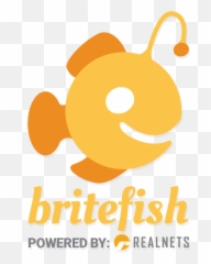 Acceptable Usage Policy Aup - Britefish Emoji,Breach Of Netiquette Emoticons