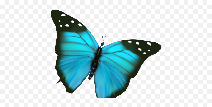 Png2 - Gifoknet Emoji,Blue Butterfly Emoji