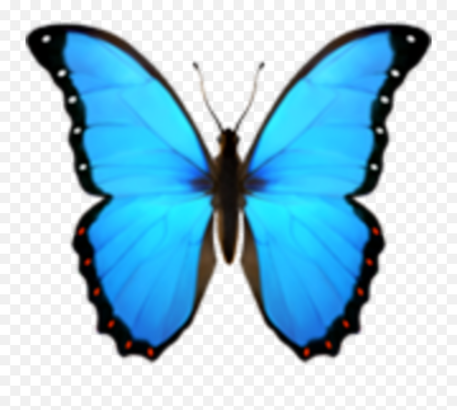 Butterfly Emoji Blue Butterflys Iphone Imoji Applemoji - Transparent Background Butterfly Emoji Png,Tami Roman Emoji