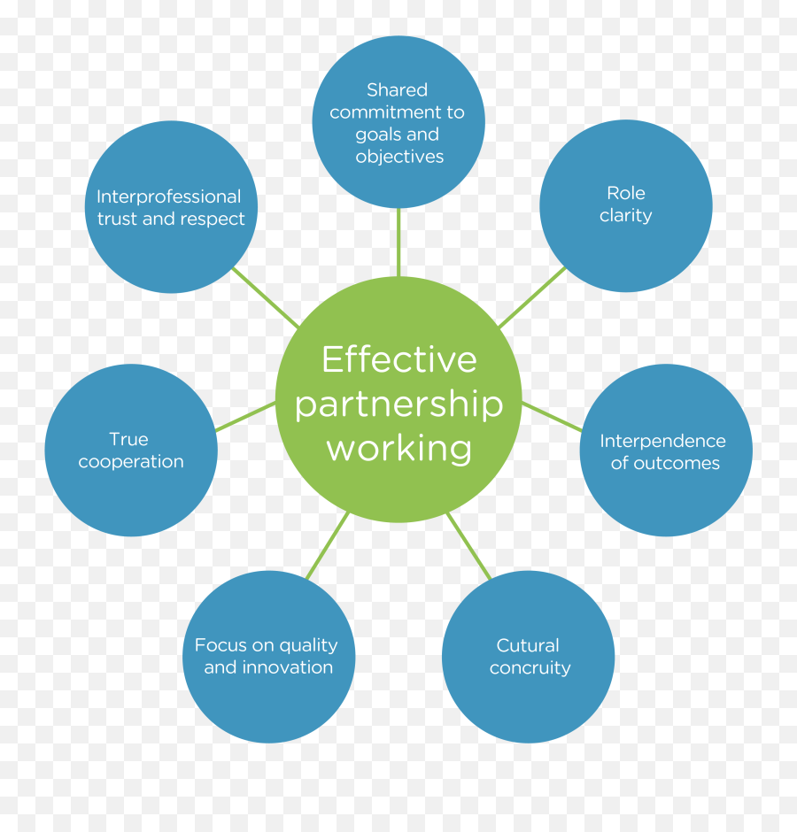 buy-health-economics-pharmacy-business-effective-partnership-working