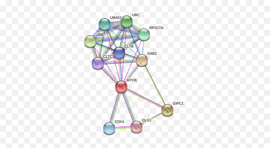 Myo6 Protein Human - String Interaction Network Dot Emoji,Emotion Regulation Crystal