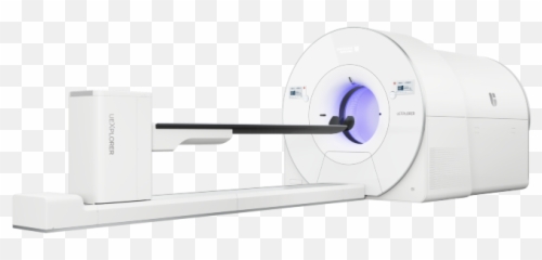 Brain Science And Technology Initiatives In The Shanghai - United Imaging Whole Body Pet Emoji,Brain Figure Key Brain Structures Involved In Processing Emotion