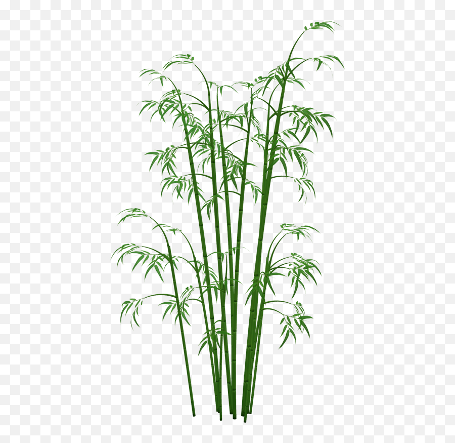 One Clipart Bamboo One Bamboo Transparent Free For Download - Transparent Background Bamboo Plant Png Emoji,Bamboo Emoji